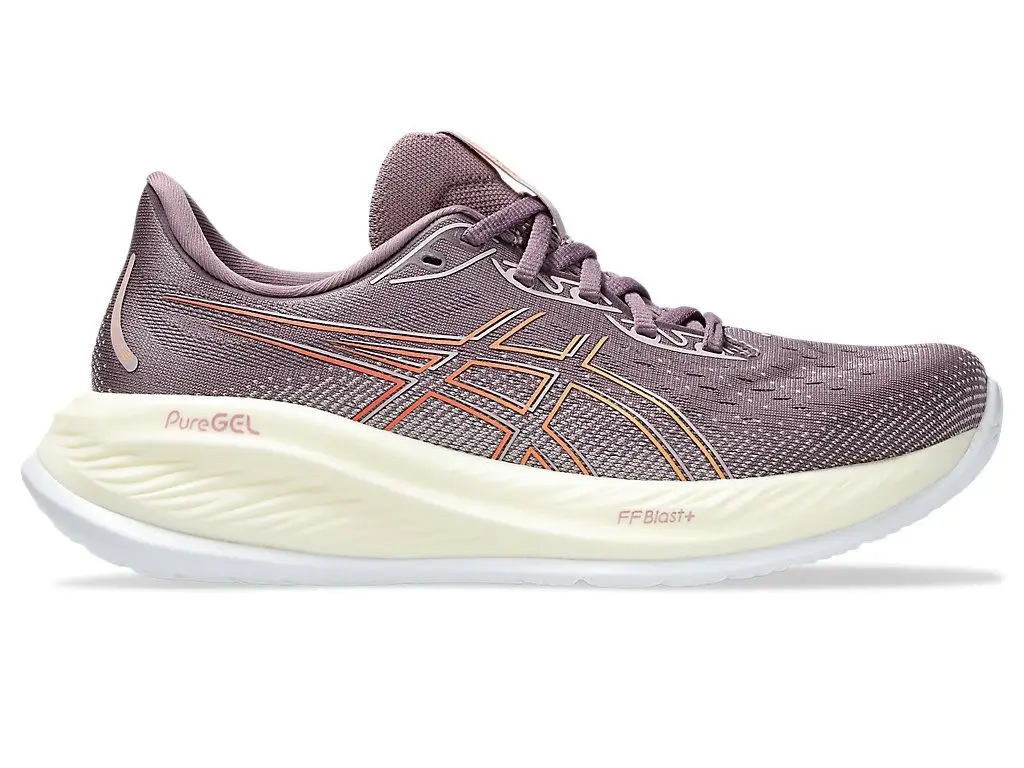 Allround Hardloopschoenen Asics Gel Cumulus 26 Dames Hardloopschoenen